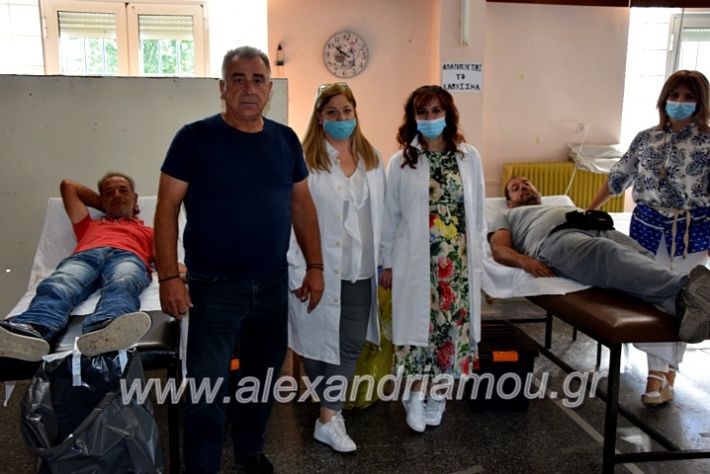 alexandriamou.gr_aimodosianisiDSC_0855