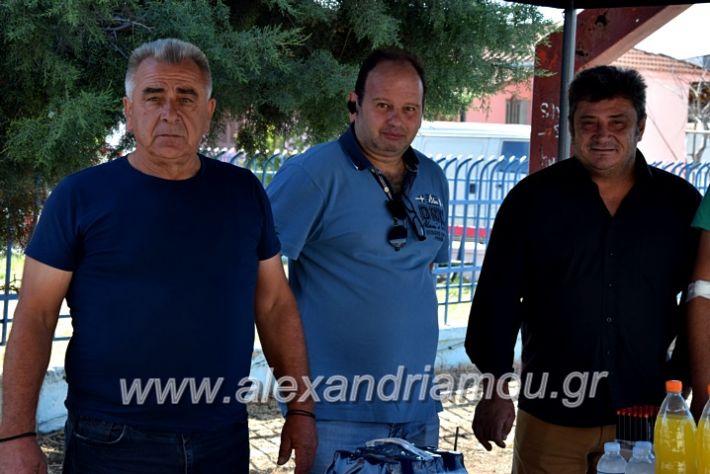 alexandriamou.gr_aimodosianisiDSC_0880