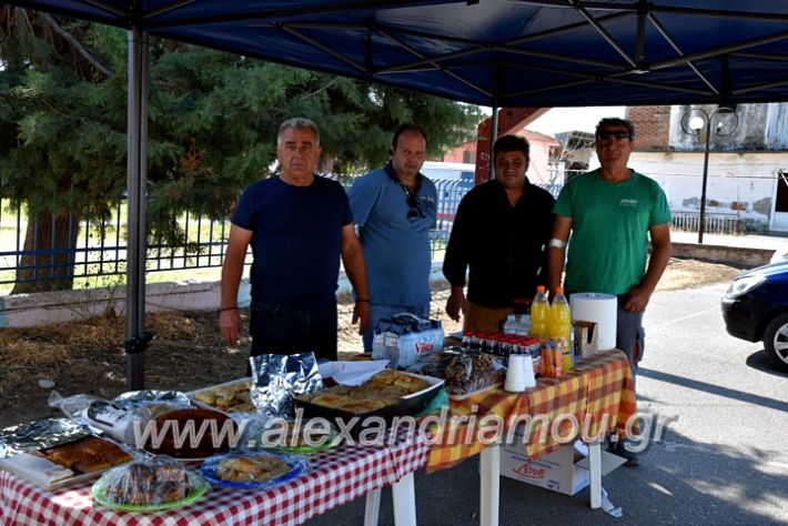 alexandriamou.gr_aimodosianisiDSC_0881