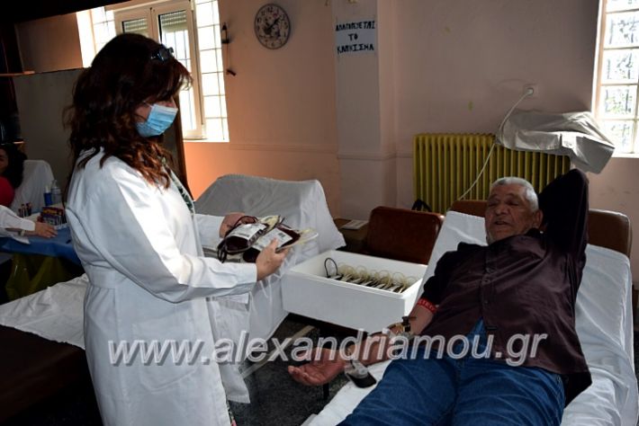 alexandriamou.gr_aimodosianisiDSC_0886