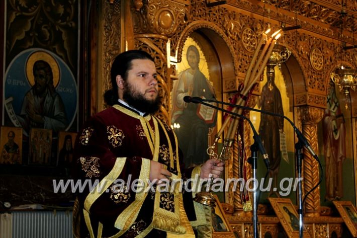 alexandriamou.gr_agigoianargiroi2019nisiIMG_0034