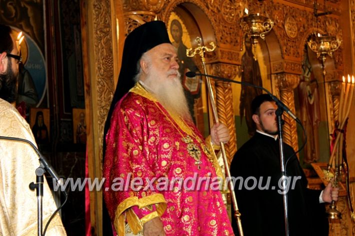 alexandriamou.gr_agigoianargiroi2019nisiIMG_0073