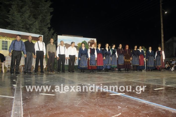 alexandriamou.gr_panigirinisi2019050