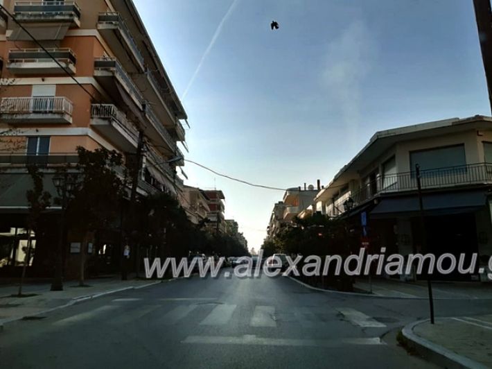 alexandriamou.gr_odiporiko202089447060_504862183539993_5752753061109956608_n