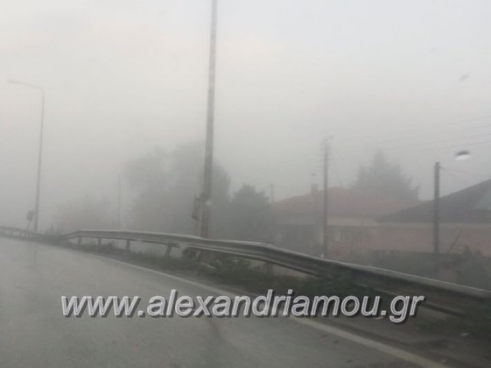 alexandriamou.gr_omicli28.11001