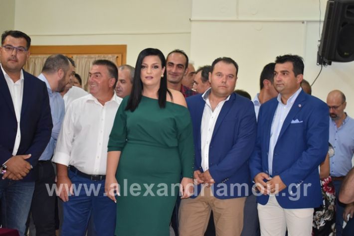 alexandriamou.gr_orkomosia12019DSC_0051