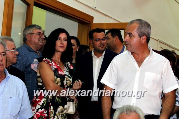 alexandriamou.gr_orkomosiadimotikousumbouliou2019IMG_2762