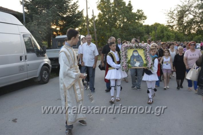 alexandriamou.gr_paisioskampoxori18032