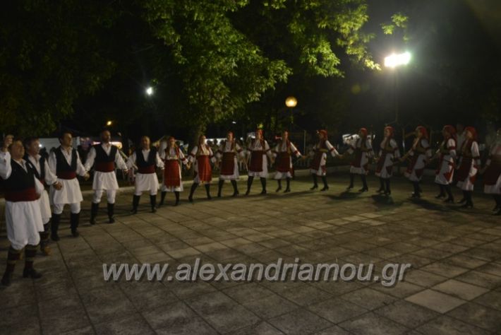 alexandriamou.gr_paisioskampoxori18072