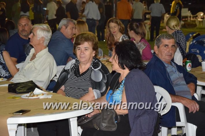 alexandriamou.gr_palaioxori04018