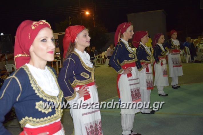 alexandriamou.gr_palaioxori04070