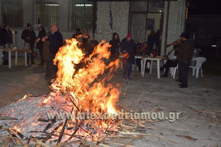 alexandriamou.gr_koliantalian23014