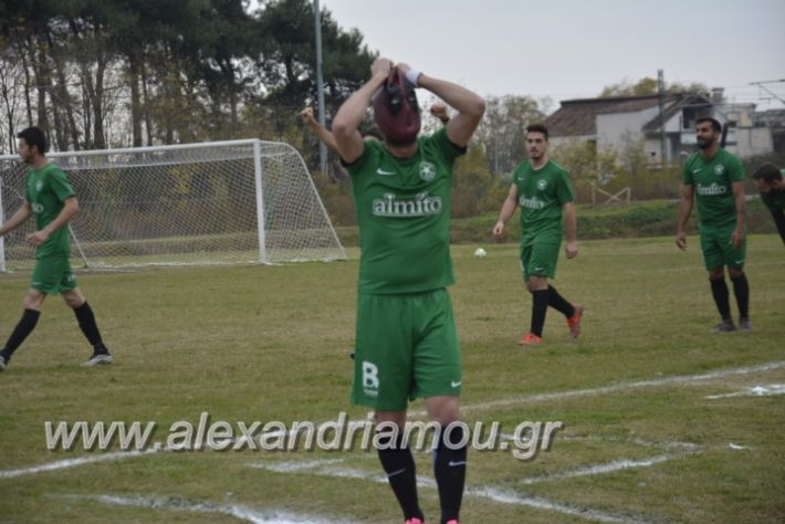 alexandriamou.gr_platitrikala24.11004