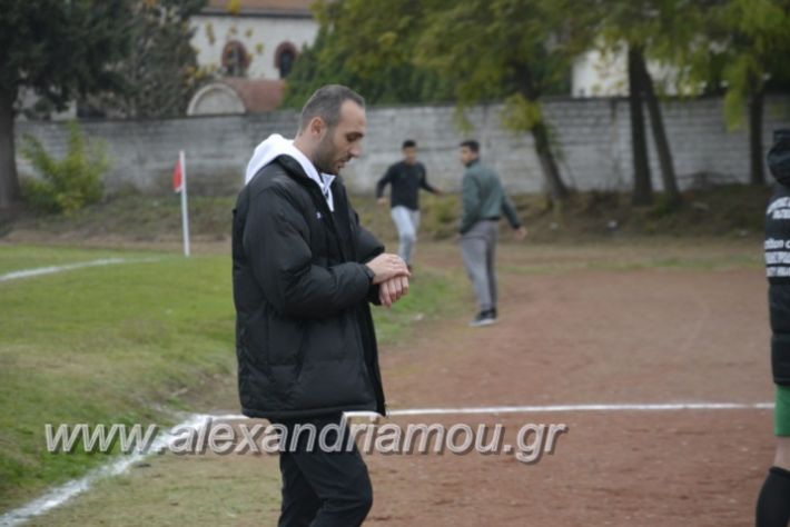 alexandriamou.gr_platitrikala24.11012