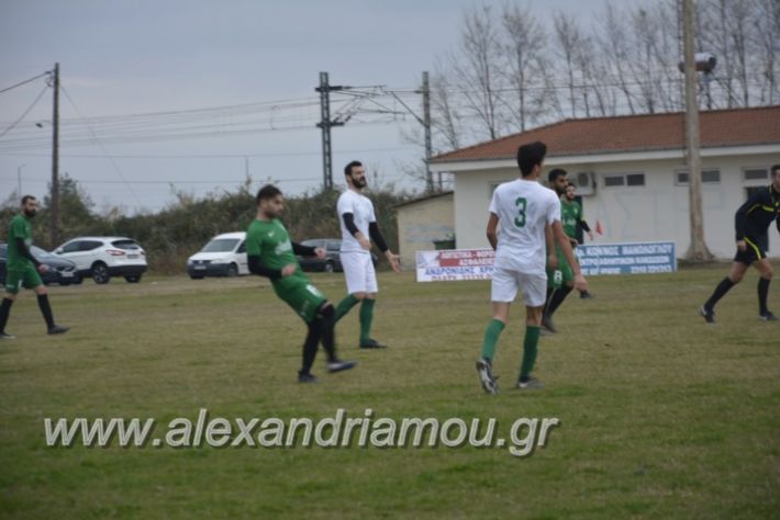 alexandriamou.gr_platitrikala24.11022