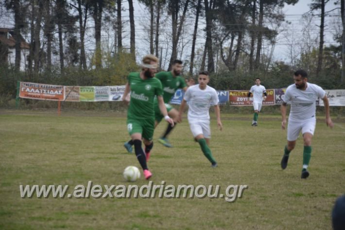 alexandriamou.gr_platitrikala24.11023