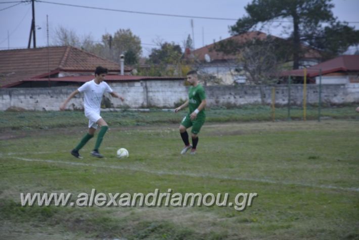 alexandriamou.gr_platitrikala24.11039