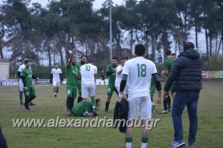 alexandriamou.gr_platitrikala24.11042