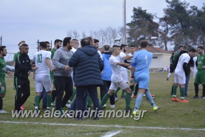 alexandriamou.gr_platitrikala24.11048