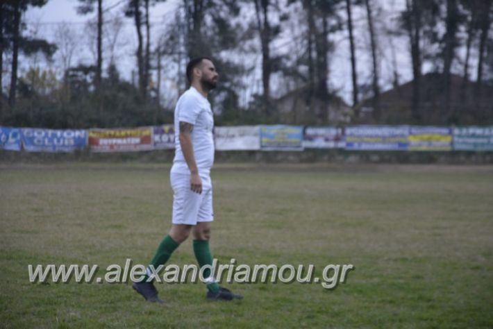 alexandriamou.gr_platitrikala24.11052