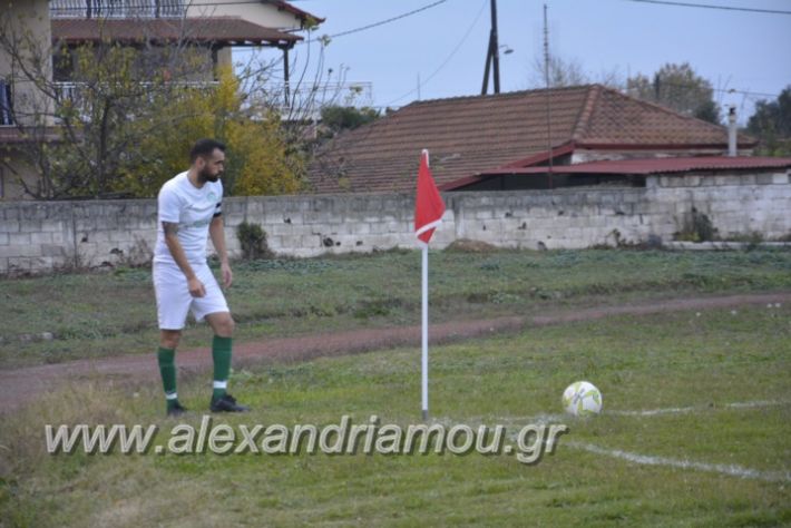 alexandriamou.gr_platitrikala24.11055