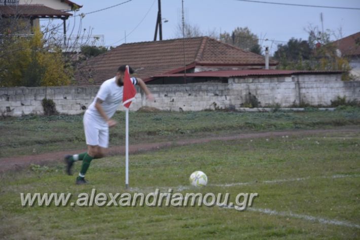 alexandriamou.gr_platitrikala24.11056