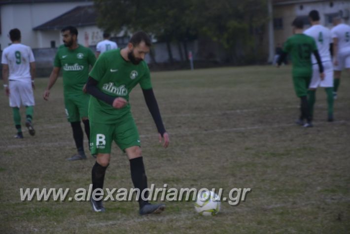 alexandriamou.gr_platitrikala24.11073