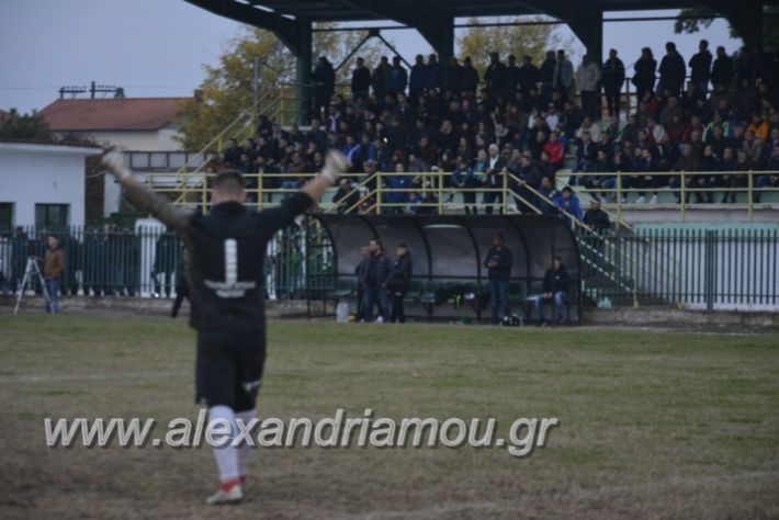 alexandriamou.gr_platitrikala24.11074