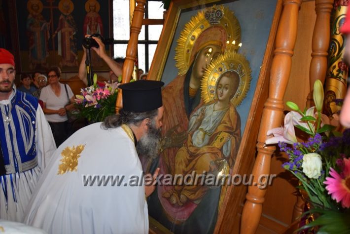 alexandriamou.gr_panagiaagiotafitisa17065