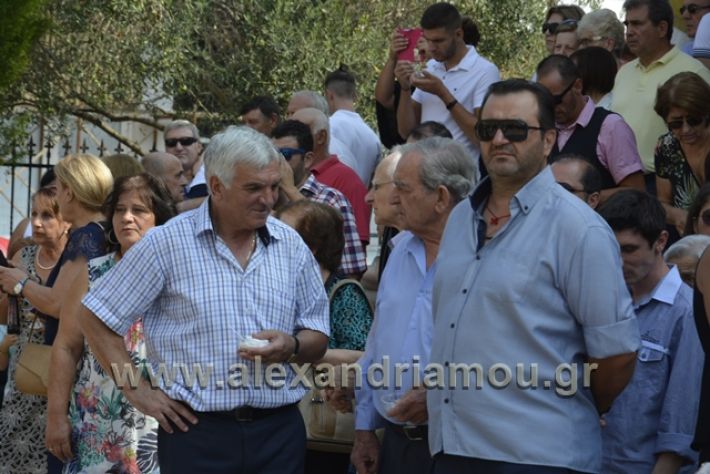 alexandriamou.gr_panagia23018029