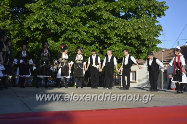 alexandriamou_agkathiapanigiri2019027