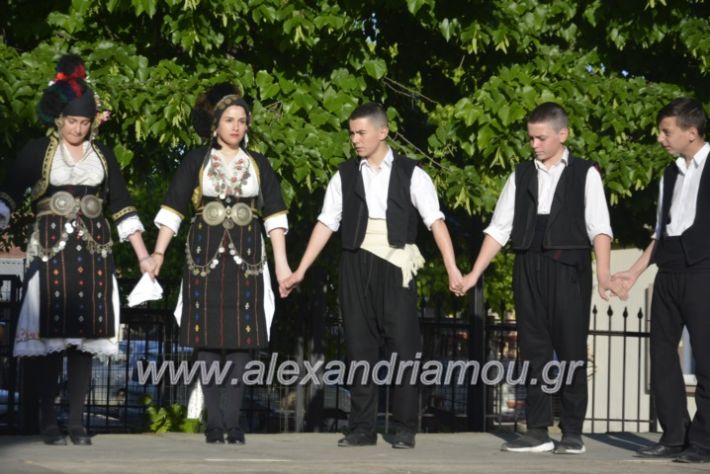 alexandriamou_agkathiapanigiri2019029