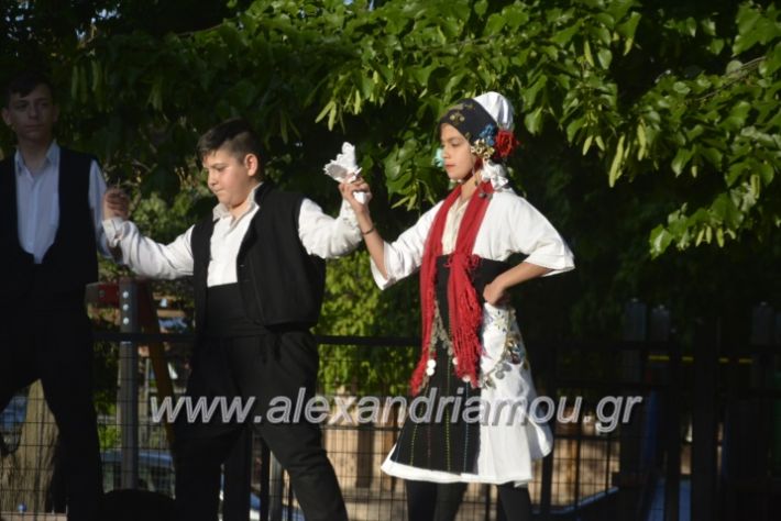 alexandriamou_agkathiapanigiri2019043