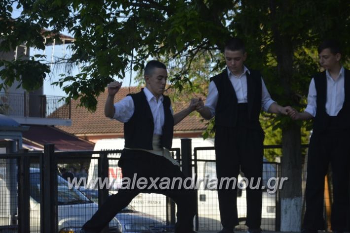 alexandriamou_agkathiapanigiri2019053