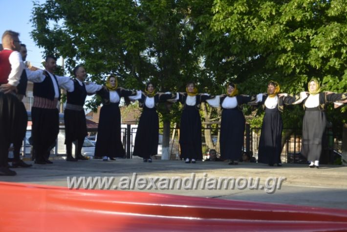 alexandriamou_agkathiapanigiri2019071