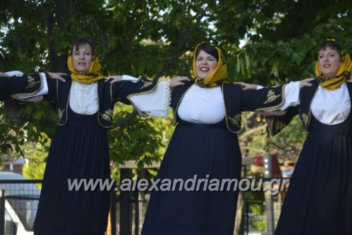 alexandriamou_agkathiapanigiri2019072