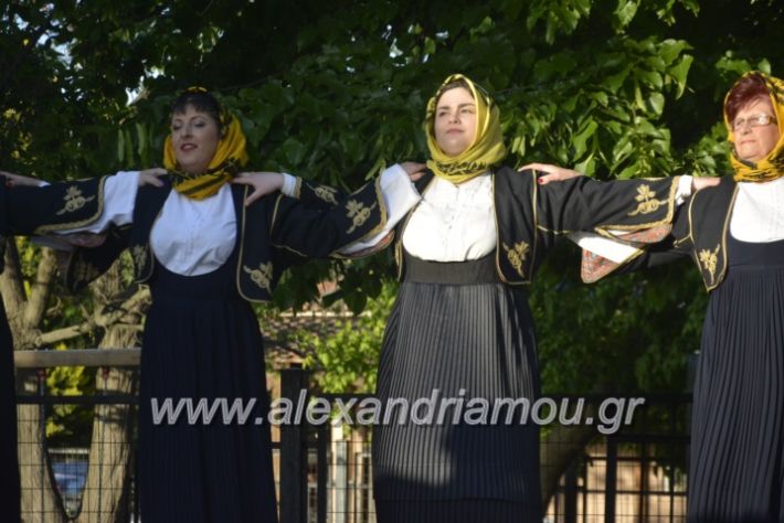 alexandriamou_agkathiapanigiri2019074