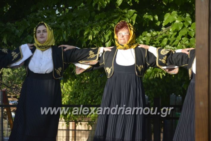 alexandriamou_agkathiapanigiri2019075