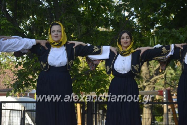 alexandriamou_agkathiapanigiri2019079