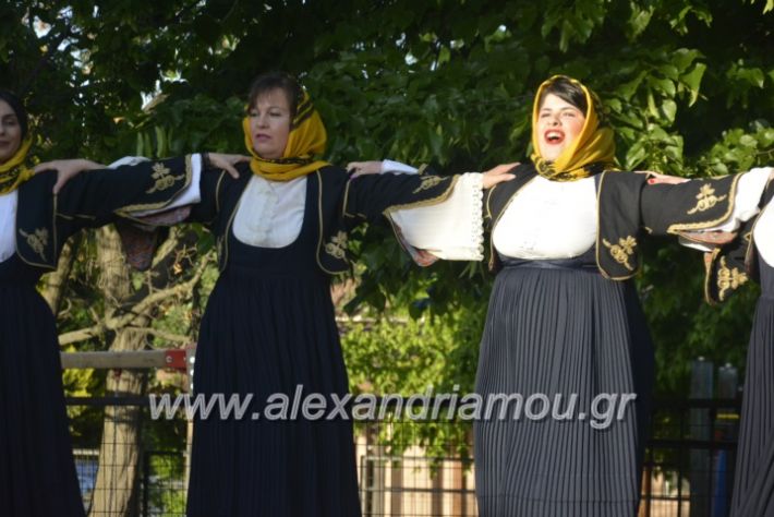 alexandriamou_agkathiapanigiri2019080