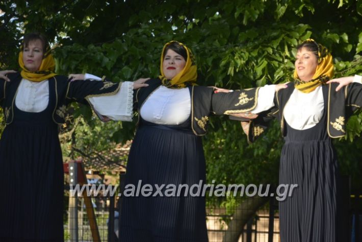 alexandriamou_agkathiapanigiri2019081