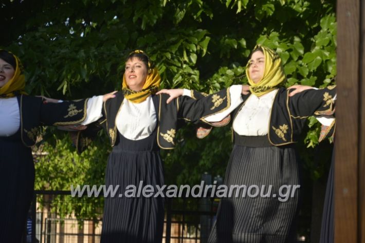 alexandriamou_agkathiapanigiri2019082