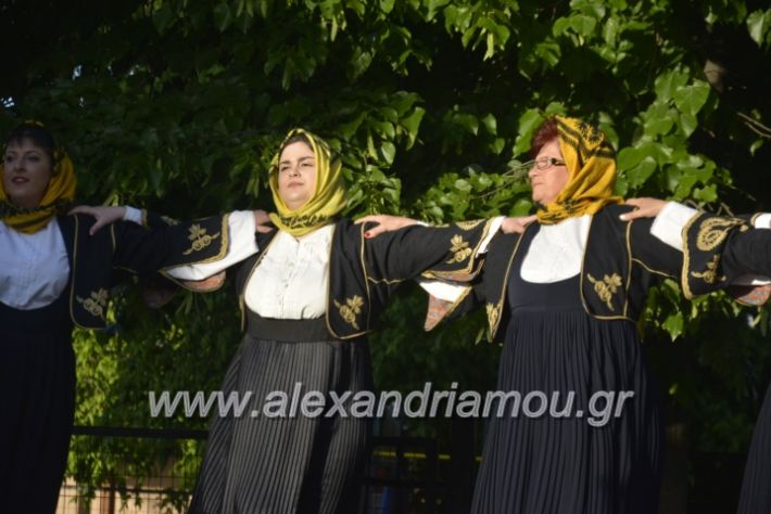 alexandriamou_agkathiapanigiri2019083