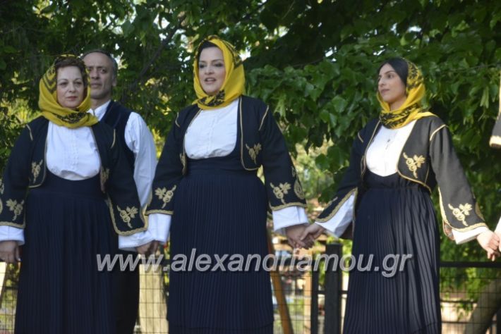 alexandriamou_agkathiapanigiri2019086