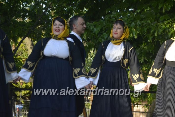 alexandriamou_agkathiapanigiri2019088