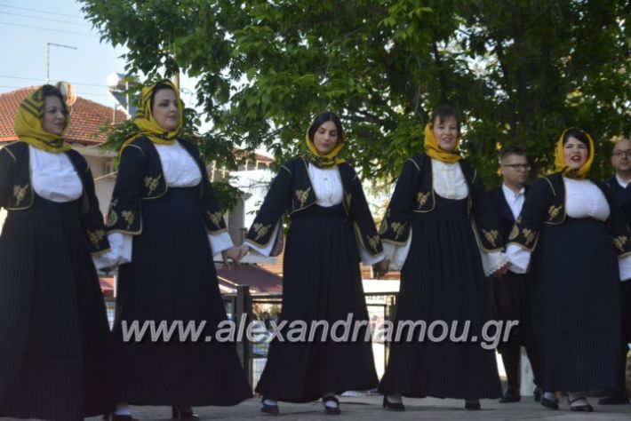 alexandriamou_agkathiapanigiri2019090