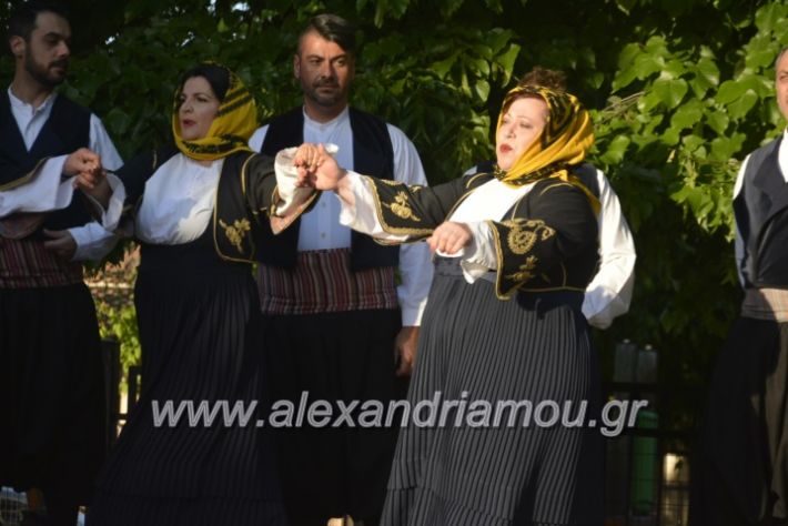 alexandriamou_agkathiapanigiri2019092