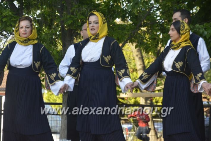 alexandriamou_agkathiapanigiri2019094