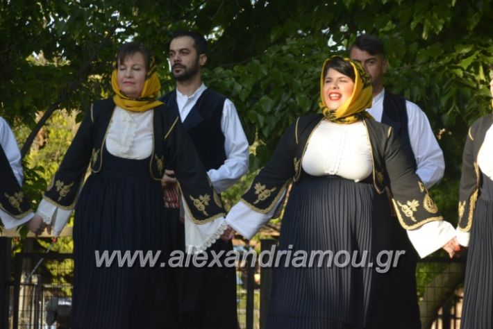 alexandriamou_agkathiapanigiri2019095