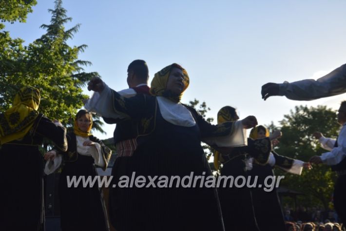 alexandriamou_agkathiapanigiri2019136